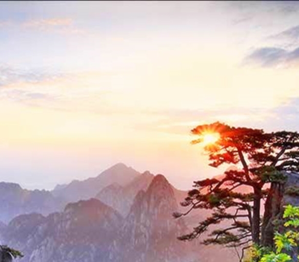 抚州粉象生活代理