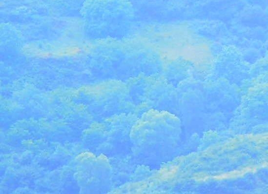 粉象生活商城