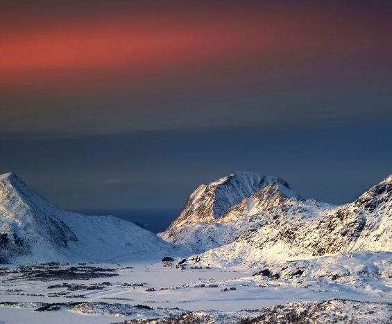 粉象生活加入费用