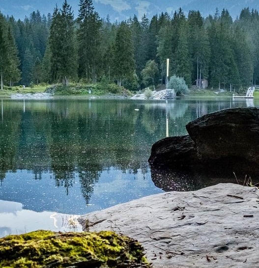 南平粉象生活注册