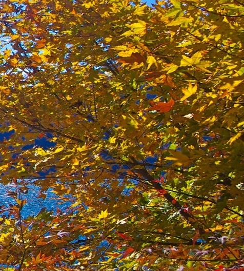 不用邀请码可以注册粉象吗