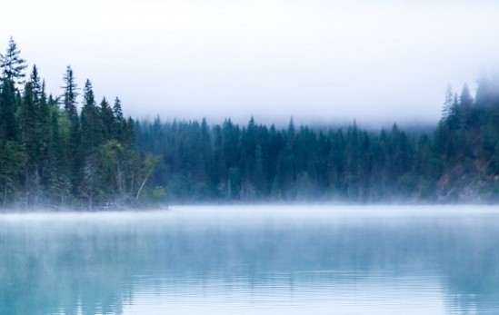 粉象生活邀请码填谁的最好