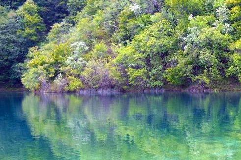 怎么样才能加入粉象生活