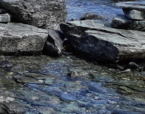 淮安粉象生活注册