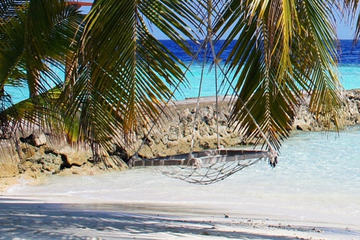 粉象粉丝返利规则