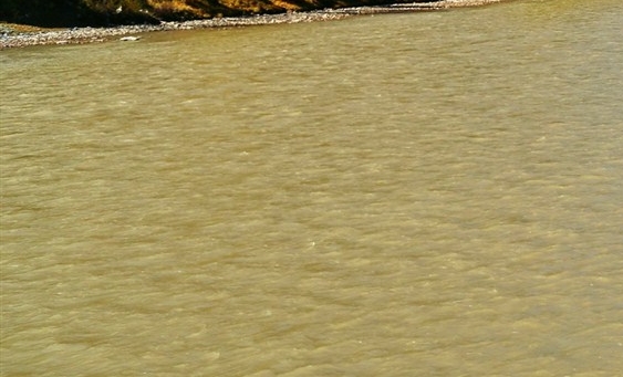 粉象生活要交钱吗