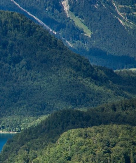 莱芜粉象生活代理