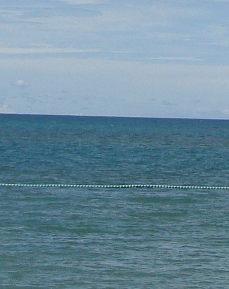 怎么做粉象生活的代理