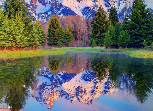 粉象生活没有邀请码怎么办