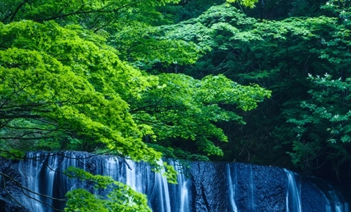 营口粉象生活app