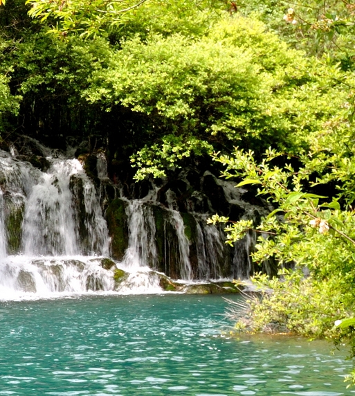 粉象生活邀请人返多少