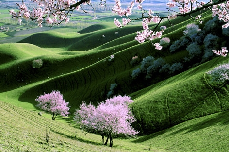 洛阳粉象生活注册