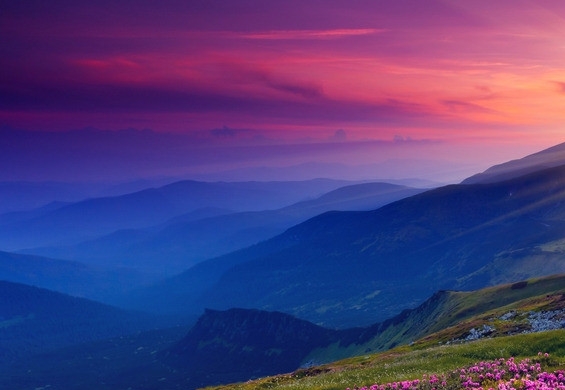 商洛粉象生活注册