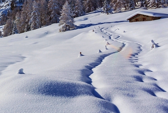 加入粉象生活怎么赚钱