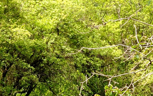 亳州粉象生活软件注册登录