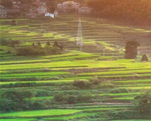 为何豆豆粮票注册不得