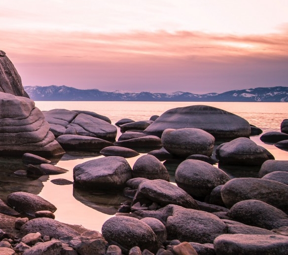 亳州粉象生活代理注册会员