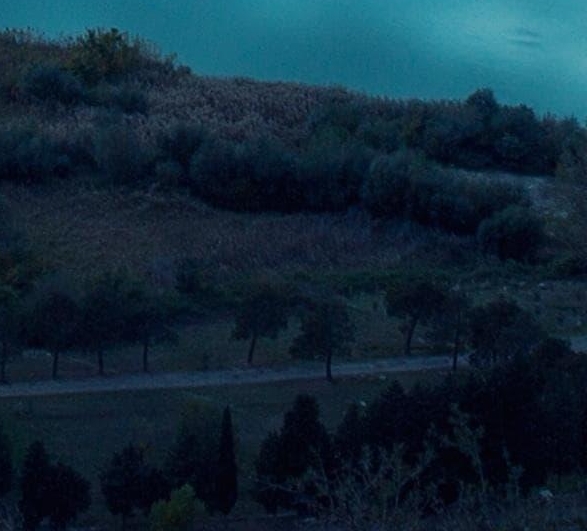 扬州粉象生活注册