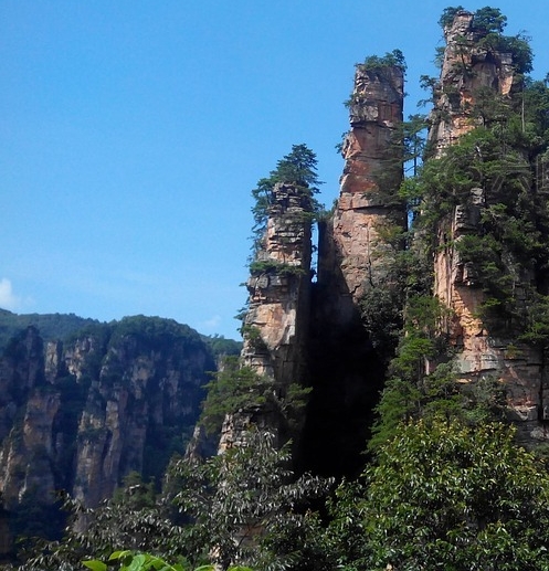 小粉象