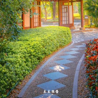 临沂锯末粉