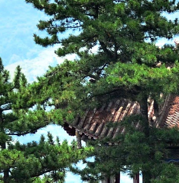 粉象生活第一批邀请码