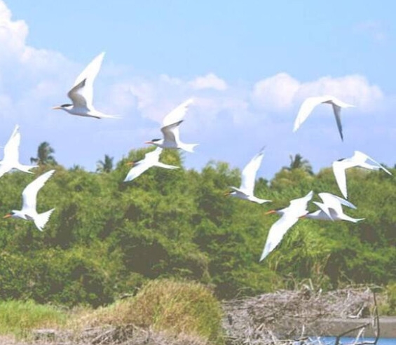 徐州粉象生活注册