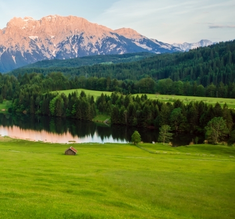 嘉兴选择粉象生活品牌好吗