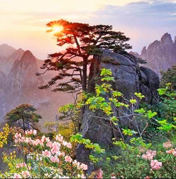 亳州粉象生活推广注册登录