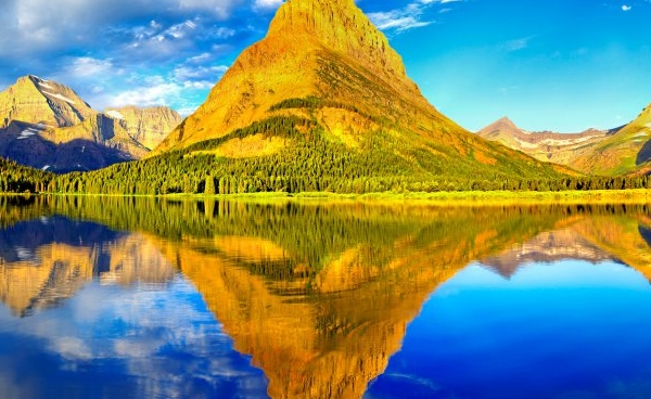 粉象生活app下载