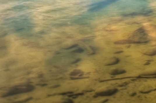 粉象生活淘客流量