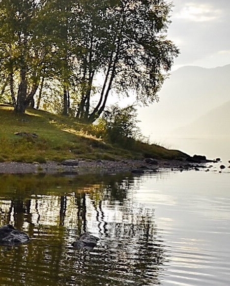亳州粉象生活软件哪里注册