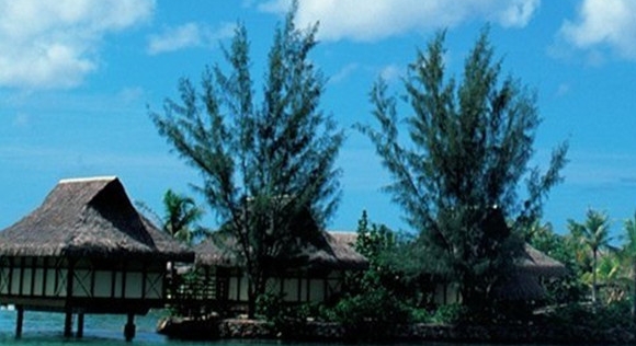 衢州app粉象生活注册邀请码