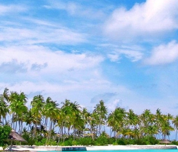 粉象生活和豆豆粮票那个好