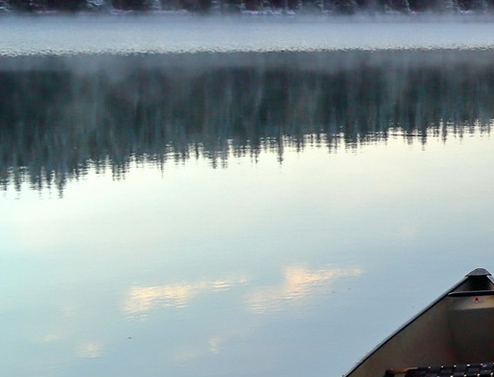 粉象生活代理注册申请