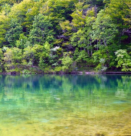 广安粉象生活注册