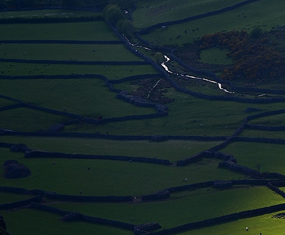 粉象生活有没有官网