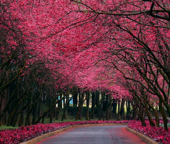 注册了粉象怎么注销