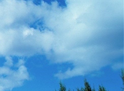 粉象如何升级vip