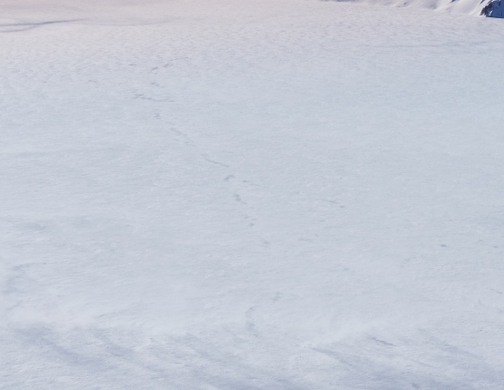 粉象生活怎么解除注册