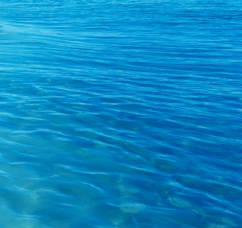 粉象生活有几代佣金