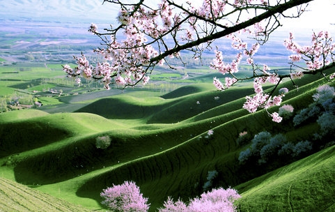 粉象生活无邀请码注册