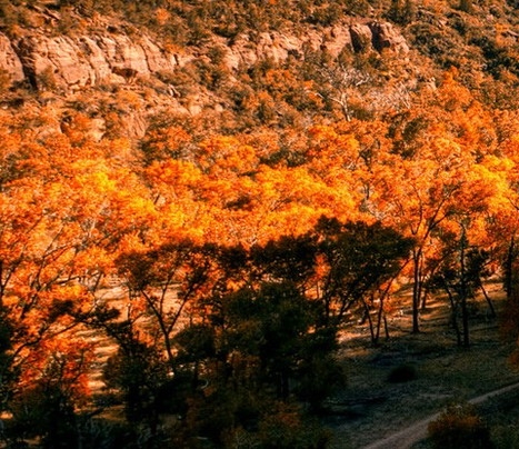 亳州粉象生活怎么填邀请码