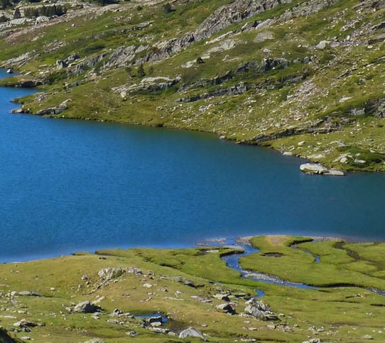 粉象注销了可以再注册吗