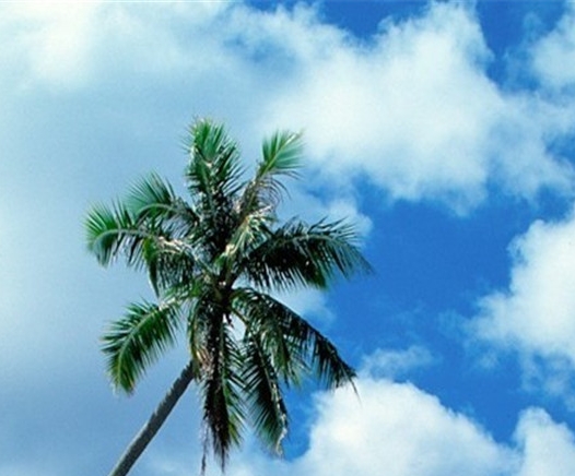 亳州粉象生活代理登录入口