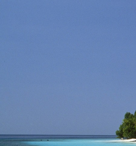 粉象生活没有邀请码