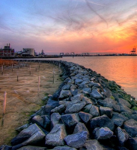 唐山粉象生活注册