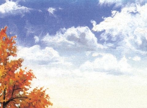 粉象生活悠然团队老板