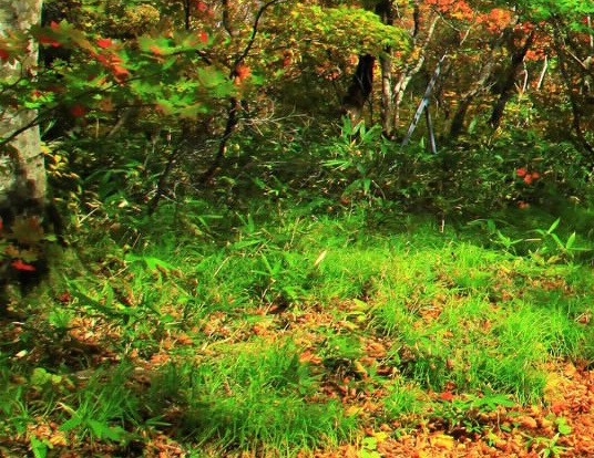 粉象生活怎么注册新号