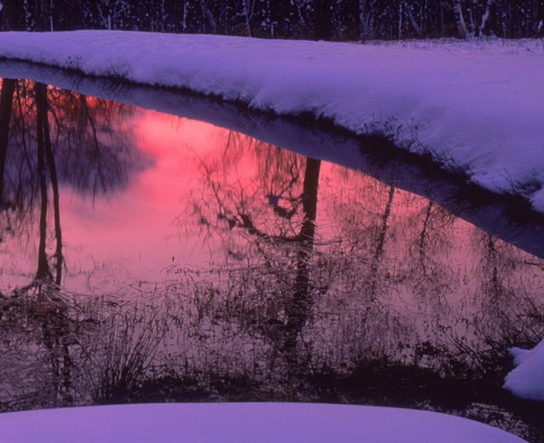 池州粉象生活注册