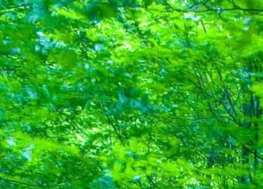 盐城粉象生活注册